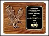 Eagle Relief Casting Plaque (11"x15")